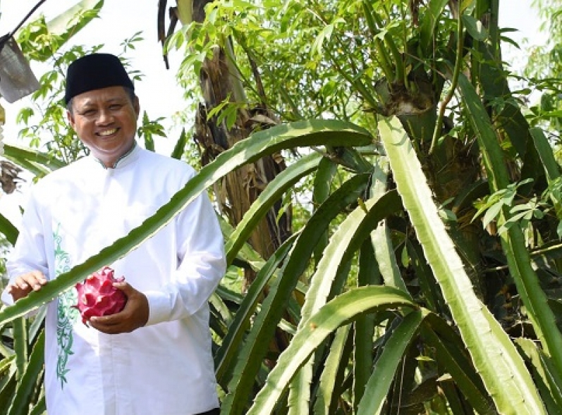 Produktivitas Pertanian Jabar Meningkat dengan Pemanfaatan Teknologi