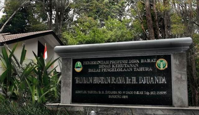 Menyusuri Hutan Dago Pakar Dan Maribaya